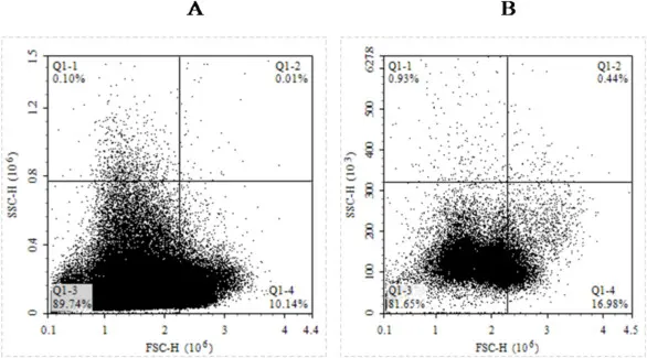 flow cytometry